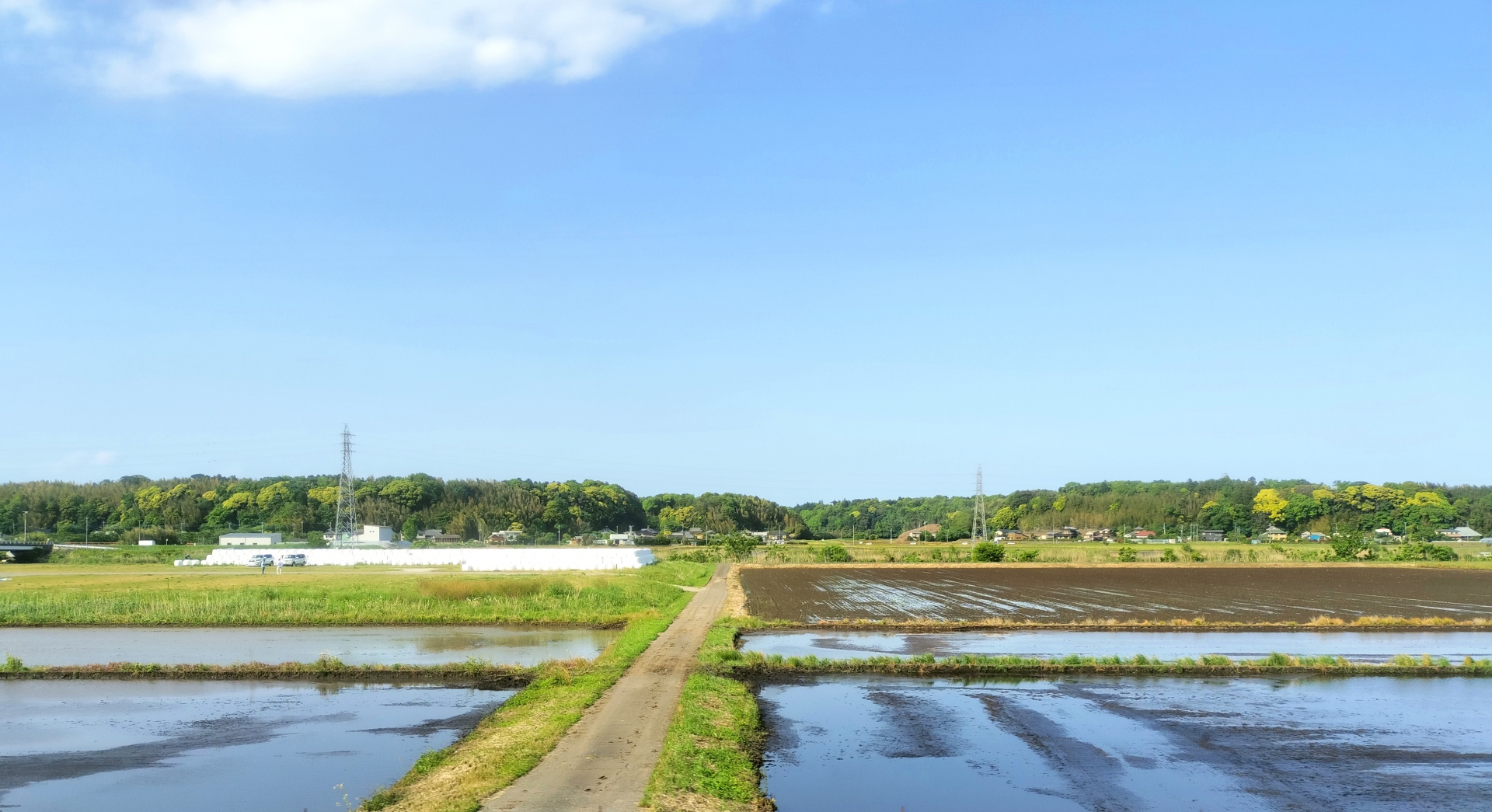 高槻市の不動産相続－【実家の田んぼを相続したらどうする？】