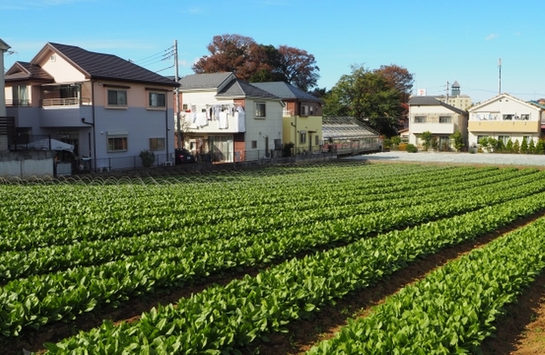 高槻市の不動産売却-「農地はなぜ売却のハードルが高いのか？」