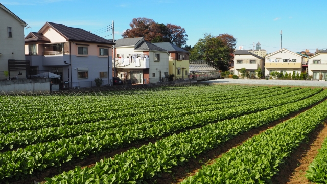高槻市の不動産売却「農地を相続したけどどう活用しよう」