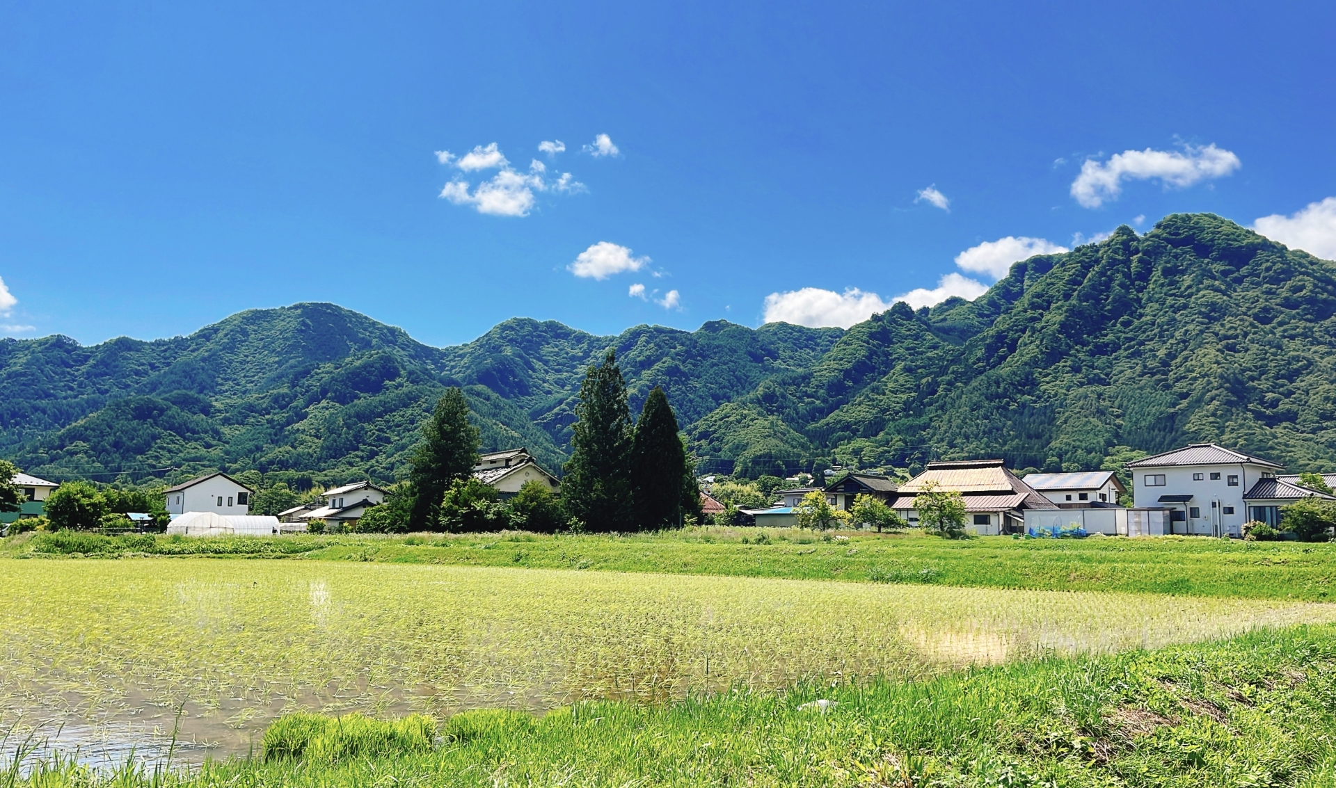 高槻市の不動産売却－【田んぼの土地活用方法には何がある？】